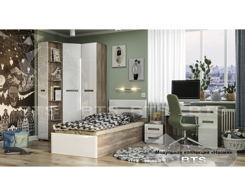 Шкаф ''Наоми'' ШК-22